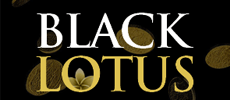 Black Lotus Casino logo