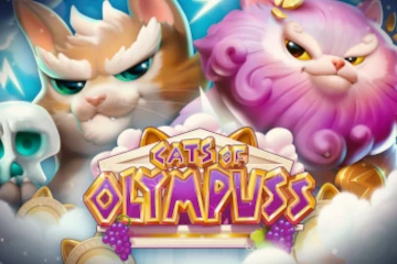 Cats of Olympuss best online slot