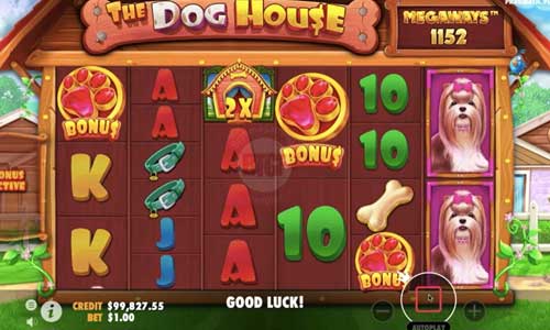 The Dog House Megaways gameplay