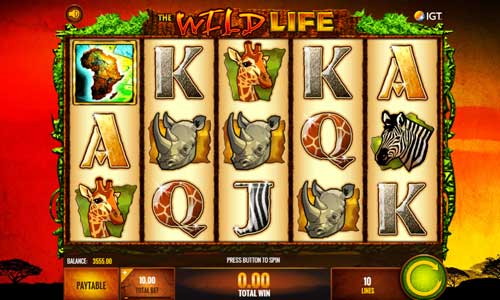 The Wild Life gameplay
