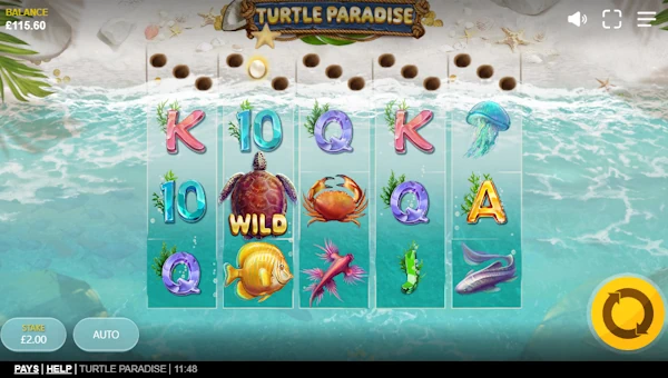 Turtle Paradise gameplay